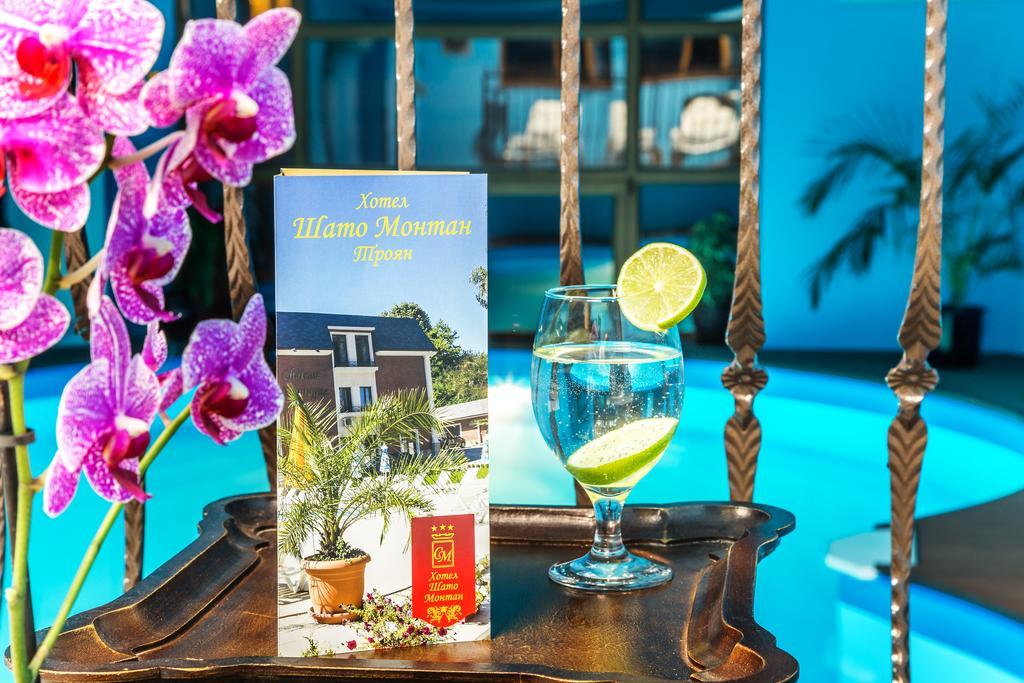 Chateau Montagne Hotel Troyan Trojan Eksteriør billede